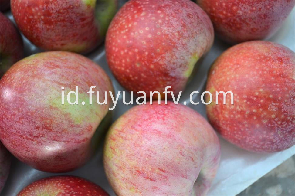 red qinguan apple